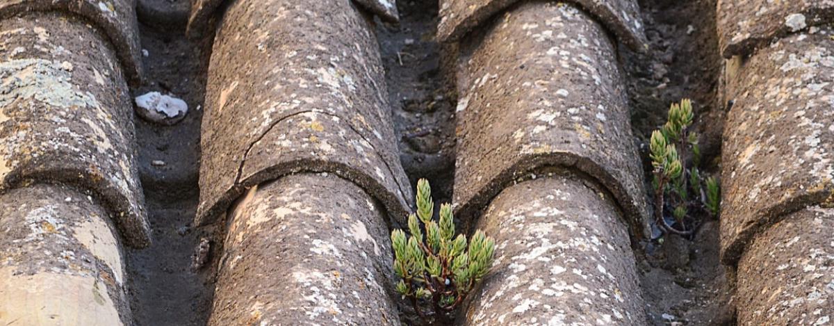 Nettoyage haute pression toiture, Montpellier, St Jean de Védas
