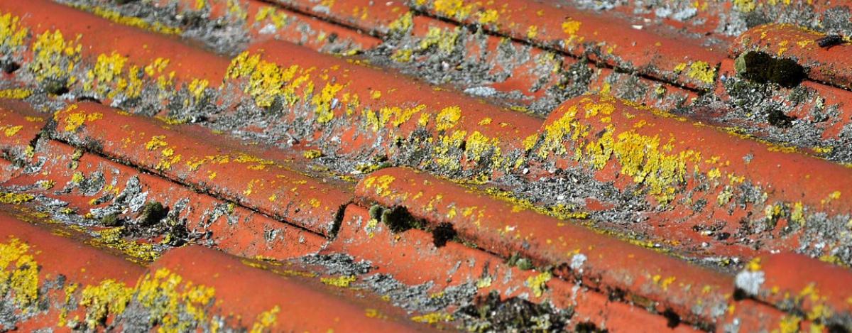 Traitement de toiture, Montpellier, St Jean de Védas